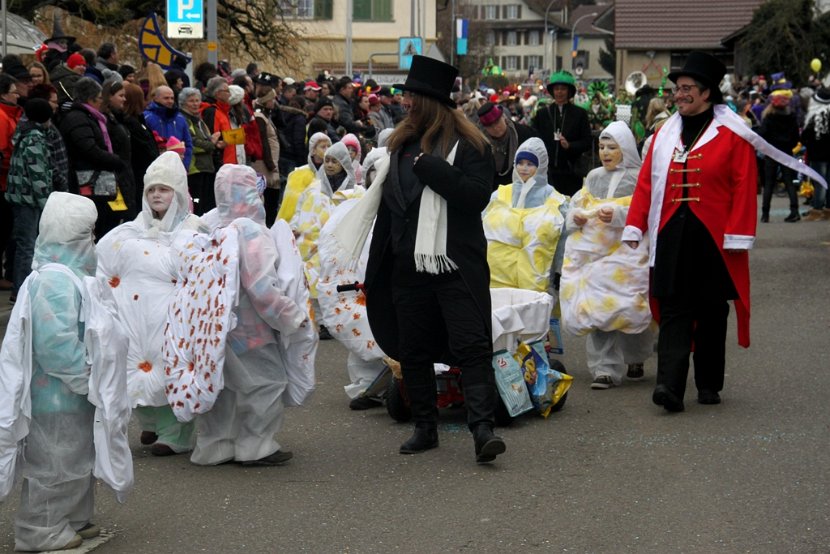 Sarmenstorf Fasnachtsumzug 16.02.2014 (13)